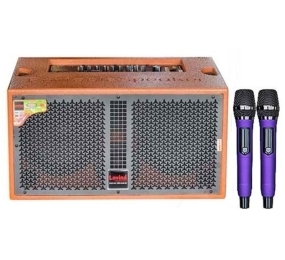 Loa xách tay Lovina KB206