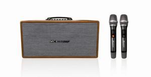 Loa xách tay MK-216N