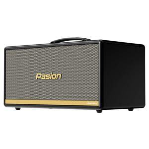 Loa xách tay Paramax Pasion 2c