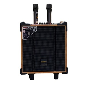 Loa xách tay Temeisheng QX-0870