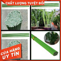 {loại 1} 10 Que cắm Cây - Hoa lan lõi kim loại bọc nhựa xanh cao 80cm