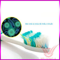 {loại 1} Bàn chải đánh răng trẻ con Ion Nano Kid nhập vào korea 3 màu