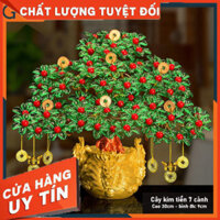 {loại 1} Cây kim tiền phát tài,phát lộc hoa xanh,đầu rồng, nhụy đỏ trang trí trong nhà, phòng khách, bàn thờ ngày tết.