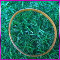 {loại 1} Dây curoa máy in và phun màu epson 1390