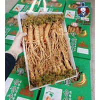 (Loại 1) Nhân Sâm Tươi Hàn Quốc Hầm Gà 6 Năm Tuổi Loại 24-27 Củ/Kg - Sâm Tươi Ông Lee