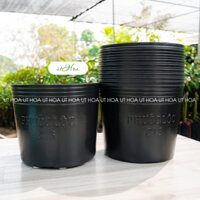 (Loại dày nhất) 50 chậu C13 trồng cây cỡ lớn (35x29cm)