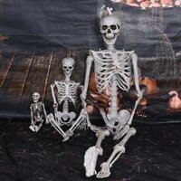 LOẠI ĐẸP Mô hình bộ xương người nhựa 40cm/90cm trang trí Halloween