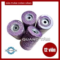 [Lốc 12 Viên] Xơ Dừa Tím Nắp Sắt Đánh Bóng Inox 100 x 16mm Chất Lượng Cao Lionking [Chính Hãng]