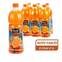 Lốc 6 chai nước cam có tép Teppy Minute Maid 1L