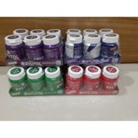 LỐC 6 HŨ KẸO GUM LOGME XYLITOL I 4 HƯƠNG VỊ (BẠC HÀ, THE MÁT, DÂU, VIỆT QUẤT) GM