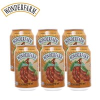 LỐC 6 LON NƯỚC ME TAMARIND DRINK WONDERFARM 310ML