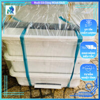 Lọc baki dàn mưa 3 tầng cho hồ cá ngang 50cm 40x50cm 56x65cm