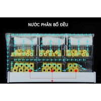 Lọc Dàn Mưa Tràn Trên 3 Tầng - Lọc Nước Bể Cá