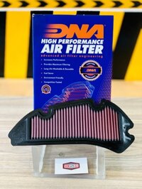 Lọc Gió DNA Cho SH Ý