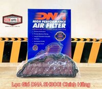 Lọc Gió DNA SH300i