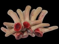 LỘC NHUNG HƯƠU TƯƠI VIỆT NAM