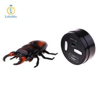 Lohobby Control Beetles Scarab Đồ chơi mô hình đáng sợ cho trẻ em Lừa khủng khiếp
