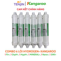 Lõi Chức Năng Hydrogen+ Kangaroo Tách Lẻ Lõi Fir+, OrpH+, HypH+, Mineral+, Nano Carbon+ Và 5in1+ Chính Hãng