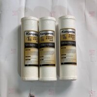 Lõi lọc asen ( lọc thạch tín)