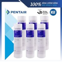 LÕI LỌC THÔ PENTAIR P1