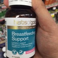 Lợi sữa Herbs of gold