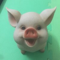 Lợn đất siêu xinh và cute