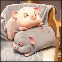 Lợn Kèm Chăn (Gấu Bông Lợn Kèm Chăn) Siêu Dễ Thương Mềm Mịn - Bammyshop - Kích Thước 50x60cm