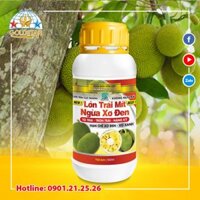 Lớn trái mít ngừa xơ đen-Phân bón lá cao cấp