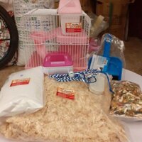 LỒNG 2 TẦNG BÉ+ FULL DỤNG CỤ NUÔI CHUỘT HAMSTER (tặng bộ vệ sinh chuồng)