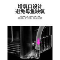 Lồng ấp cá con, hộp cách ly cá nhỏ, cá betta, cá bảy màu, hộp ấp cá nhiệt đới, phòng sinh đa năng,