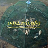 Lồng bái quái 8 mắt (cửa) đánh bắt tôm cá mùa mưa