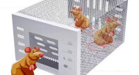Lồng bắt bẫy chuột thông minh bằng thép không gỉ chắc chắn