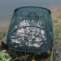 Lồng Bát Quái Vuông 9 Cửa - Bẫy Tôm, Cua, Cá - Phiên Bản Mới 2024 + Tặng Kèm Hộp + Mồi