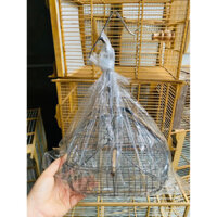 Lồng bẫy chào mào, chim khuyên chất liệu inox giá rẻ siêu nhạy, Bẫy chim Chào Mào - Khuyên giá rẻ, Lụp bẫy chim