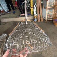 Lồng bãy chào mào, khuyên inox cao cấp ,không han nỉ chắc bền, đế gỗ [HÀNG CAO CẤP]