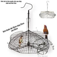 lồng bẫy chim chào mào choè mi khướu giá rẻ