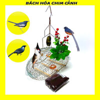 Lồng Bẫy Chim Chào Mào, Chòe Lửa, Chòe Than, Khướu Inox Kèm Phụ Kiện