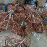 Lồng bẫy chim chào mào.Mi chòe khuyên hút  mật siêu nhậy