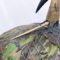 Lồng bẫy chim cu gáy lợp lá chất liệu trúc cao cấp siêu nhạy , Lồng bẫy Cu Gáy (jebak burung terkukur) Lovechim