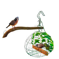 Lồng Bẫy Chim Gáy Cầu Tử Trên, Lụp Gáo Bẫy Cu Gáy