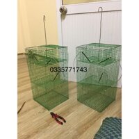 lồng bẫy chim sâu, hút mât, khuyên,