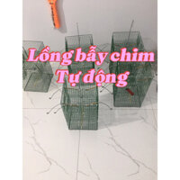 lồng bẫy chim tự động giá rẻ