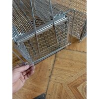 lồng bẫy chuột, bẫy thú ,bẫy mèo ,làm bằng thép đột lỗ có khóa chống sổng có 2 loại