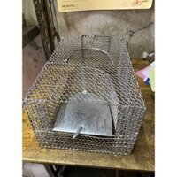 LỒNG BẪY CHUỘT THÔNG MINH AN TOÀN QC 34*23*17cm