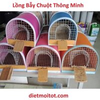 Lồng bẫy chuột thông minh bằng gỗ - Bắt được nhiều chuột cùng lúc  - Hàng việt nam chất lượng cao - Màu ngẫu nhiên