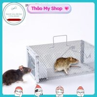 Lồng Bẫy Chuột Thông Minh, Lồng Bẫy Chuột Bắt Chuột Nhỏ Đến To Siêu Nhạy
