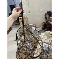 lồng bẫy mào 1 mặt chất liệu lụi chắc chắn bền đẹp