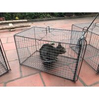 lồng bẫy mèo chất lượng cao cỡ to 50 30