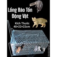 lồng bẫy mèo giá gốc thép dày cỡ trung
