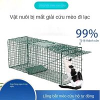 Lồng Bẫy Mèo Hoang Nhỏ Lồng Bẫy Chồn Hương Lồng Bẫy Mèo Rừng Lồng Bắt Mèo Hoang Lồng Bẫy Chồn Đèn Lồng Bẫy Chuột